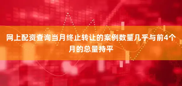 网上配资查询当月终止转让的案例数量几乎与前4个月的总量持平