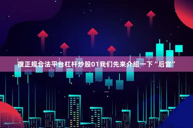 搜正规合法平台杠杆炒股01我们先来介绍一下“后宫”