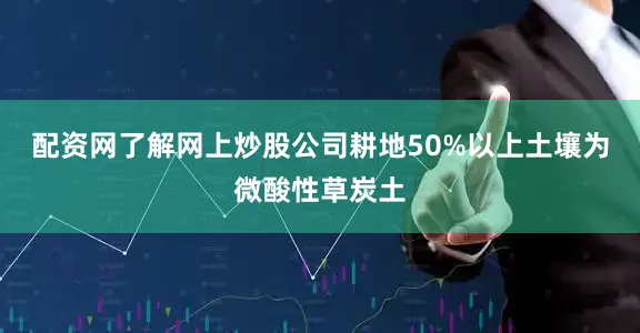 配资网了解网上炒股公司耕地50%以上土壤为微酸性草炭土