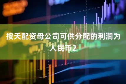 按天配资母公司可供分配的利润为人民币2