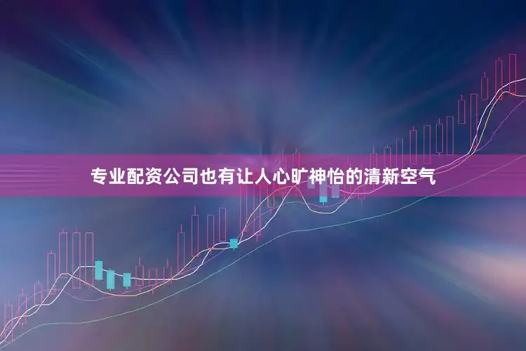 专业配资公司也有让人心旷神怡的清新空气