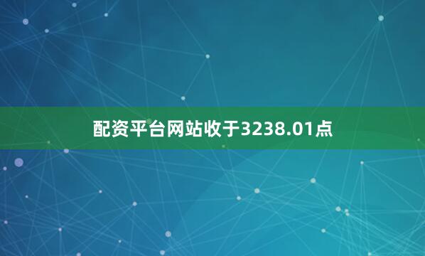配资平台网站收于3238.01点